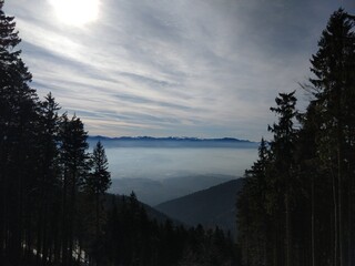 Mist inversion in the woods and mountains during autumn and winter. Slovakia