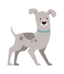 Cute Funny Dog. Pet Animal. Vector illustration