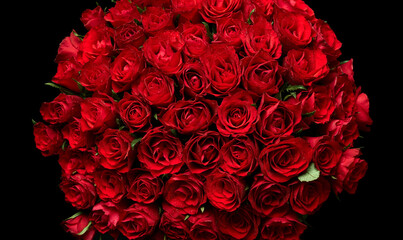 Red rose vintage background
