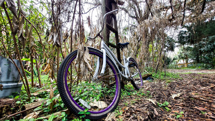 Fototapeta na wymiar White Abandonded Bicycle in a Messy Yard