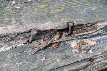 Nails coming out on an old wooden roof.