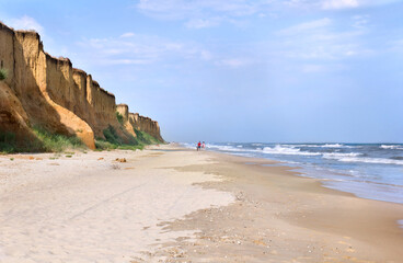 Group of people with their dog walking on the sea coastal in summer