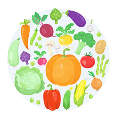 Colorful fresh vegetables arranged in a circle. In cartoon style. Isolated on white background. Vector flat illustration.