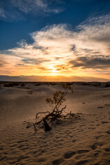Mesquite Flat Sand Dunes in Dealth Valley California
