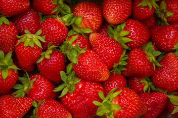 a lot of red strawberries