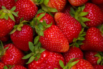a lot of red strawberries
