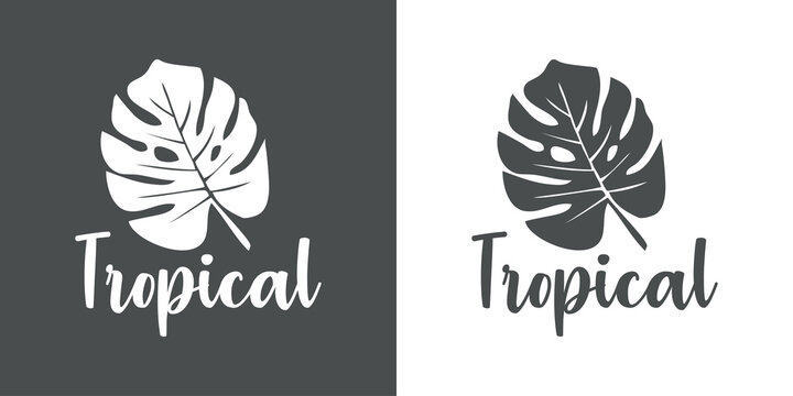 Logo con texto manuscrito Tropical. Icono con silueta de hoja de monstera. Vector en fondo gris y fondo blanco