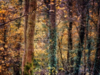 Digital painting style illustration of autumn woodland with ivy covered trees and bark textures