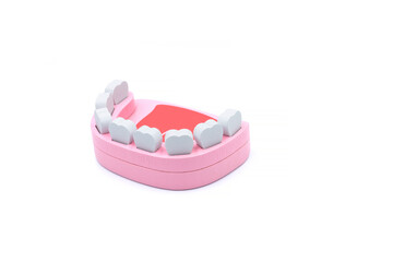 Wooden model toy of a human jaw with at white background. The problem of tooth loss. Baby milk teeth