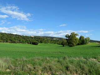 Fototapeta na wymiar landscape of field and mountains in spring, with intense green grass and blue clear sky