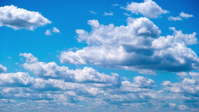 Timelapse of cumulus clouds moving in the blue sky. Light clouds change their shape in cloud space. Awesome sky. Background of cloudscape, time-lapse. Copy space. Change of weather. Nature. 4K