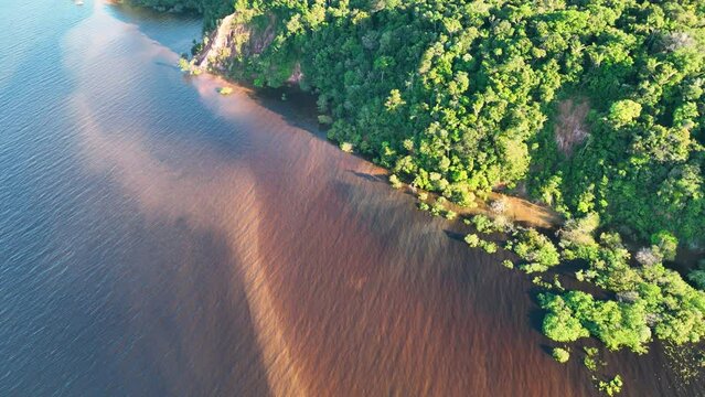 Nature aerial view of Amazon forest at Amazonas Brazil. Mangrove forest. Mangrove trees. Amazon rainforest nature landscape. Amazon igapo submerged vegetation. Floodplain forest at Amazonas Brazil.