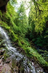 The Birks of Aberfeldy, circular walking route in the Moness Glen outside Aberfeldy in the Highlands of Scotland.