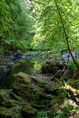 The Birks of Aberfeldy, circular walking route in the Moness Glen outside Aberfeldy in the Highlands of Scotland.