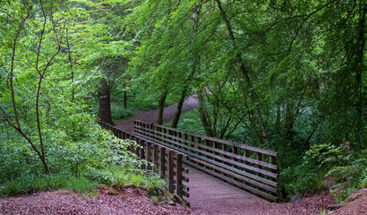 Fototapeta premium The Birks of Aberfeldy, circular walking route in the Moness Glen outside Aberfeldy in the Highlands of Scotland.