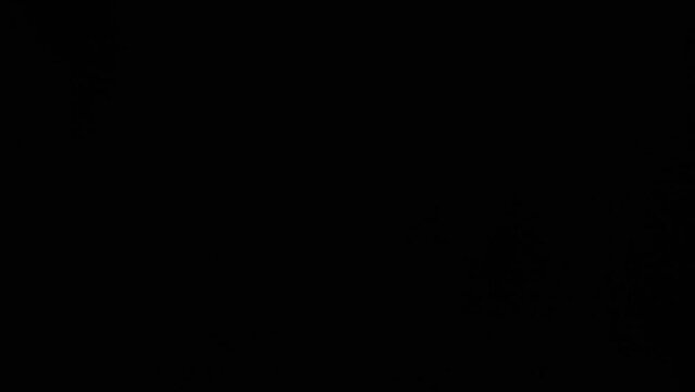 Cinematic lens flares Light Leak overlay on black background. Spherical Optical Light abstract background 4K
