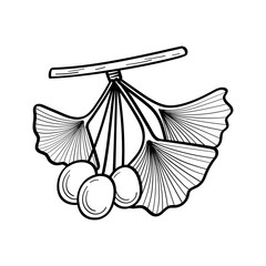 Japanese Ginkgo biloba tree leaves. Outline vector illustration in sketch style