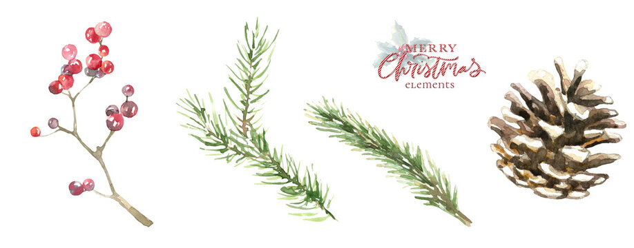 Watercolor Woodland tree illustration, pine tree, evergreen, greenery botabical decoration for greeting card, poster, invitation, baby shower Merry Christmas,New Year, holiday greetings, diy