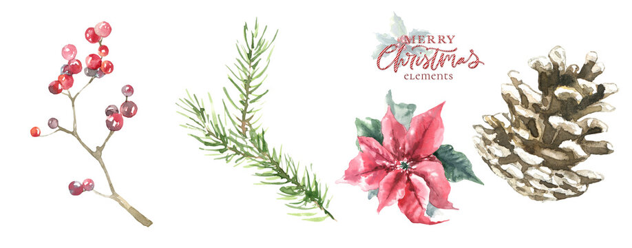 Watercolor Woodland tree illustration, pine tree, poinsettia, greenery botabical decoration for greeting card, poster, invitation, baby shower Merry Christmas,New Year, holiday greetings, diy