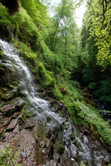 Obraz premium The Birks of Aberfeldy, circular walking route in the Moness Glen outside Aberfeldy in the Highlands of Scotland.