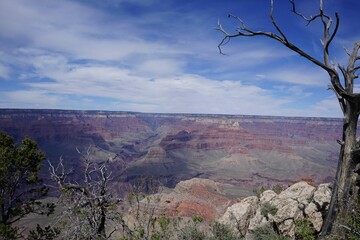 Weathered tree silhouette with stunning layered views of natural panoramic views of rock formations in vibrant colors and beautiful skyline. 