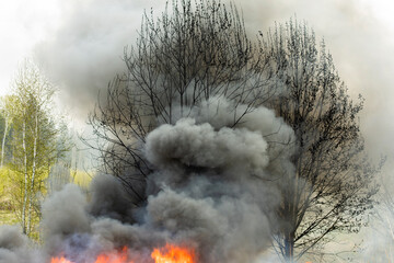 Black smoke from fire. Burning of garbage. Destruction of nature. Environmental disaster.