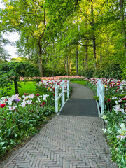Park with beautiful flowers and bridge over canal. Spring season