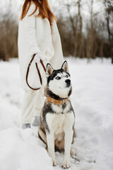 woman with a purebred dog outdoor games snow fun travel fresh air