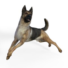 3d-illustration of an isolated german shepherd dog playing