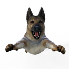 3d-illustration of an isolated german shepherd dog attacking