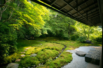 京都 新緑あふれる瑠璃光院の庭園