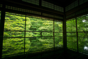 京都・瑠璃光院、もみじの新緑とテーブル