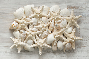 nautical decor.Marine wallpaper.Starfish and sea shells in pastel beige colors. Summer wallpaper in a marine style. Nautical beige starfish on white sticks.