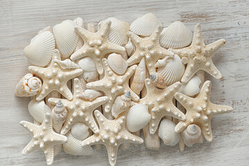 Marine wallpaper.Starfish and sea shells. Summer wallpaper in a marine style. Nautical beige starfish on white driftwood sticks.Texture of starfish and driftwood sticks.Background in a marine style in