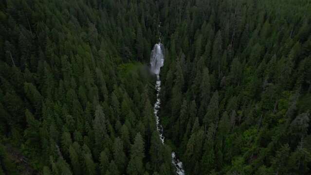 Waterfall in the Forest