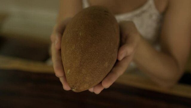 Close up shot of woman's hand holding exotic Zapote fruit.