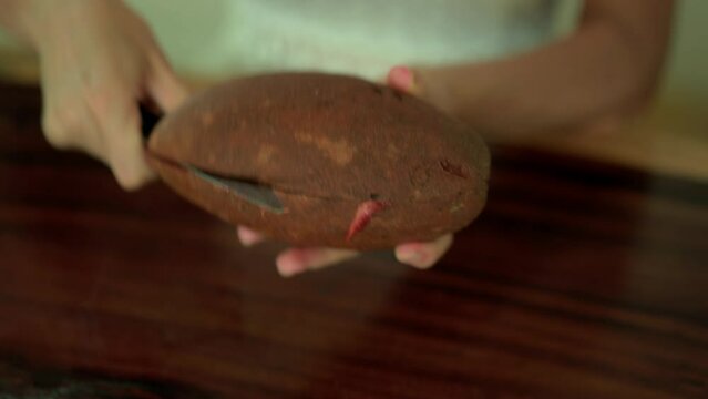 Close up shot of woman's hand cutting exotic zapote fruit.