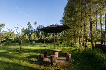 a place to relax for a moment in the kledung garden, Temanggung, Indonesia, when the morning is cool and green