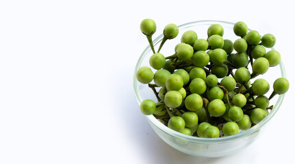 Turkey berry isolated on white background
