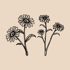 Floral vintage retro handdrawn style