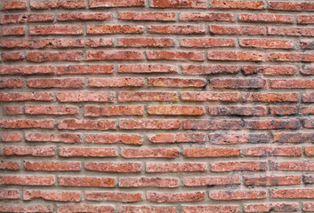 Brick wall texture