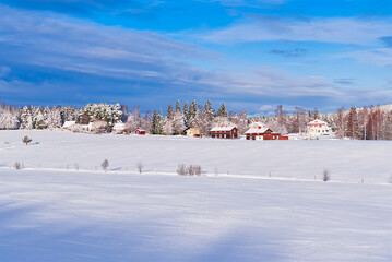Obraz premium Nordic winter landscape. Panoramic view of the covered with frost trees in the snowdrifts. Magical winter forest. Natural landscape with beautiful sky.