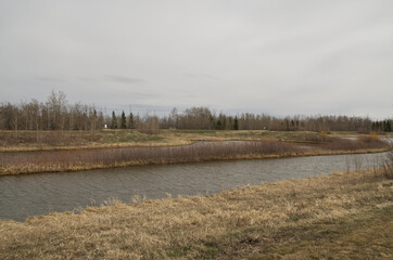 Pylypow Wetlands on a Cloudy Spring Day