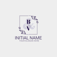 Initial letter BV beauty handwriting logo vector