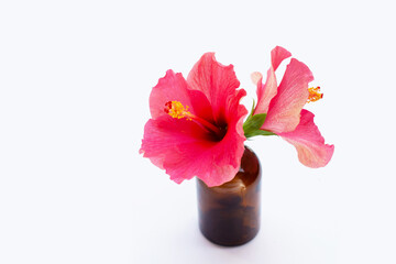 Hibiscus flower in brown bottle on white background.