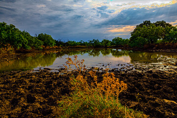 landscape with lake