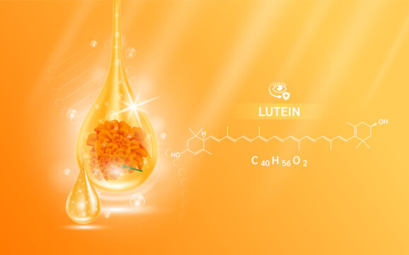 Drop water lutein orange and structure. Vitamin complex with Chemical formula from marigold to nourish eyes. Medical and scientific concepts. 3D Realistic Vector EPS10.