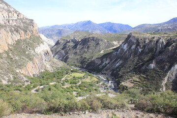 Fototapeta na wymiar montaña en el sur del peru con pinus radiata al rededor 2018 perú