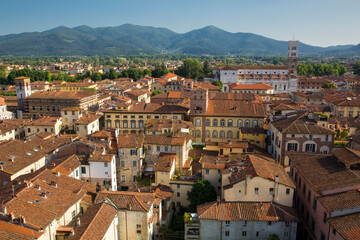 Fototapeta na wymiar Rooftops of ancient, picturesque buildings in Lucca, Italy 