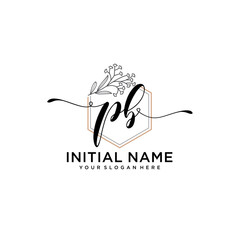 Initial letter PB beauty handwriting logo vector